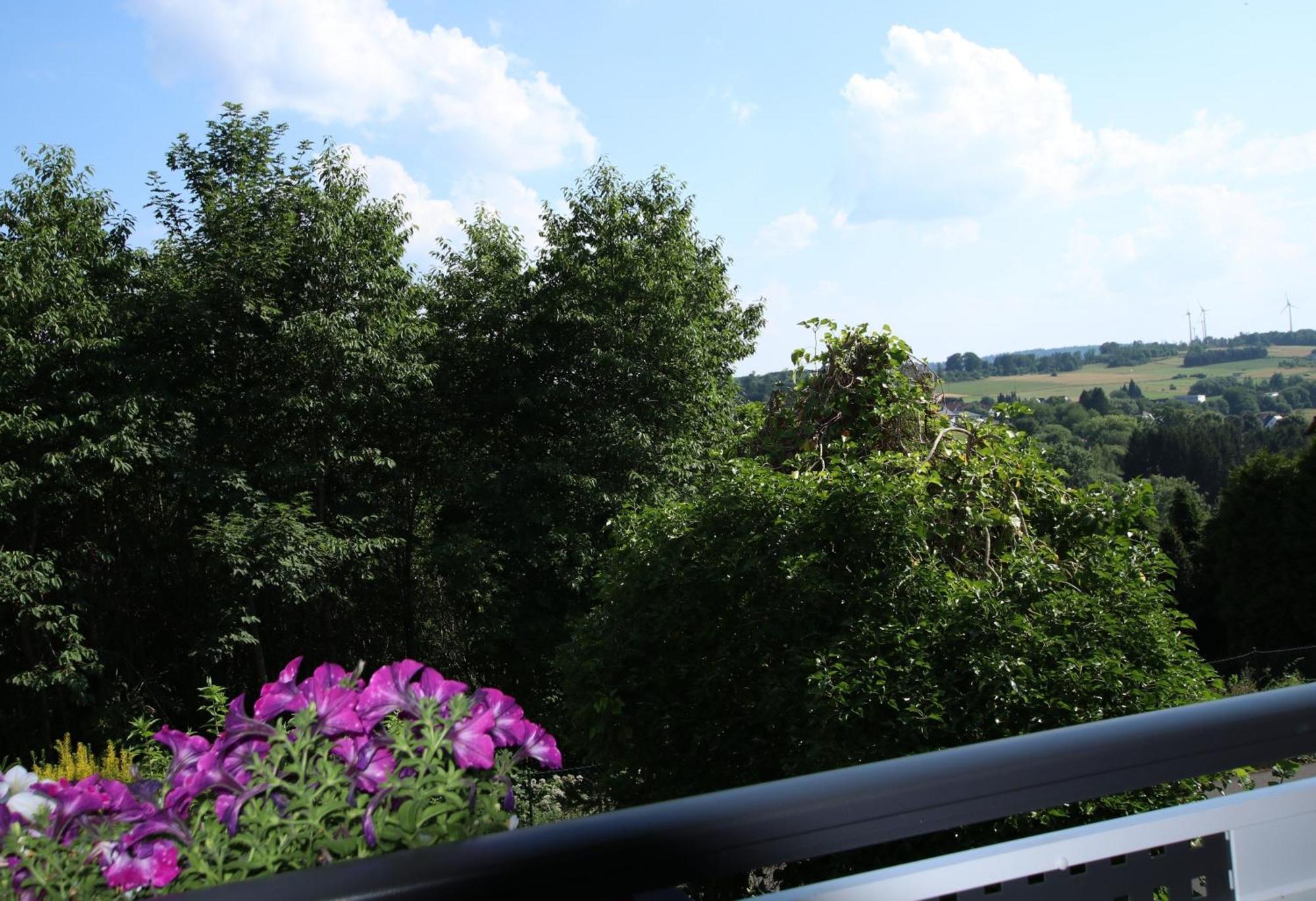 Ferienwohnung Zum Rosengarten West015 Westerwald Driedorf Экстерьер фото