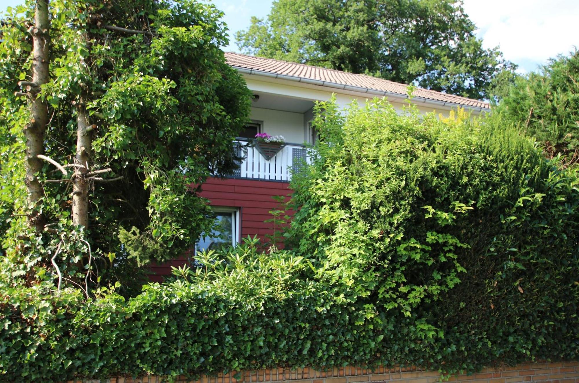Ferienwohnung Zum Rosengarten West015 Westerwald Driedorf Экстерьер фото